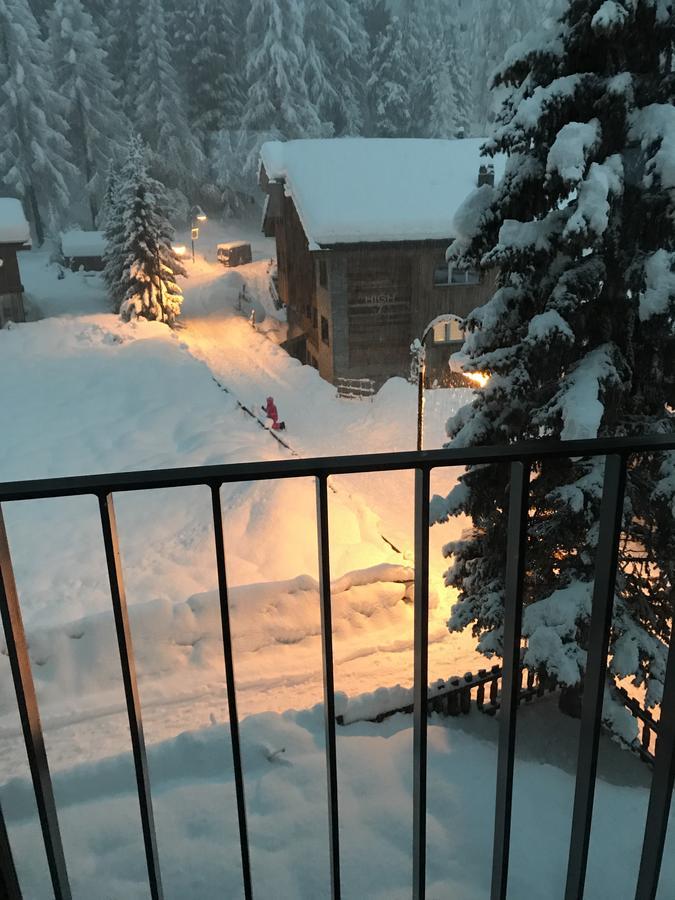 Chalet Talisman *